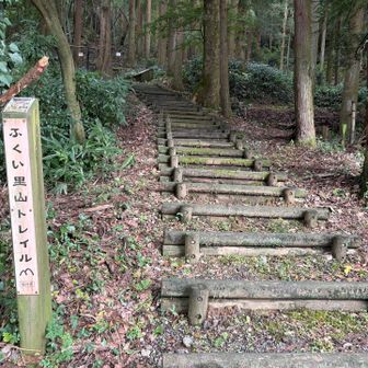 行ってきます