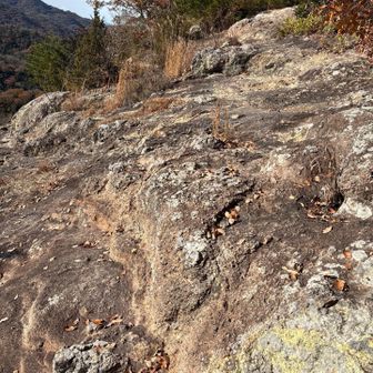また岩の道が出てきた！