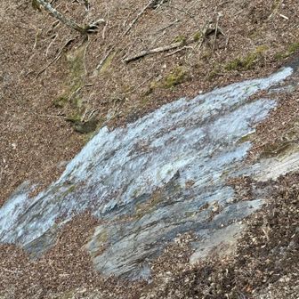 石が凍ってる🪨