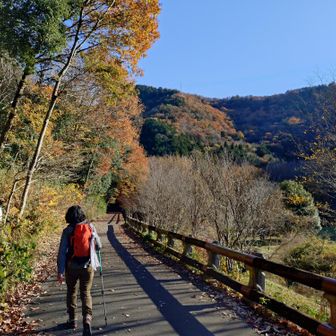👩ふんふんふんふん🦎⤴️🦎🥰
👨ハゼないな
👩なくてよし