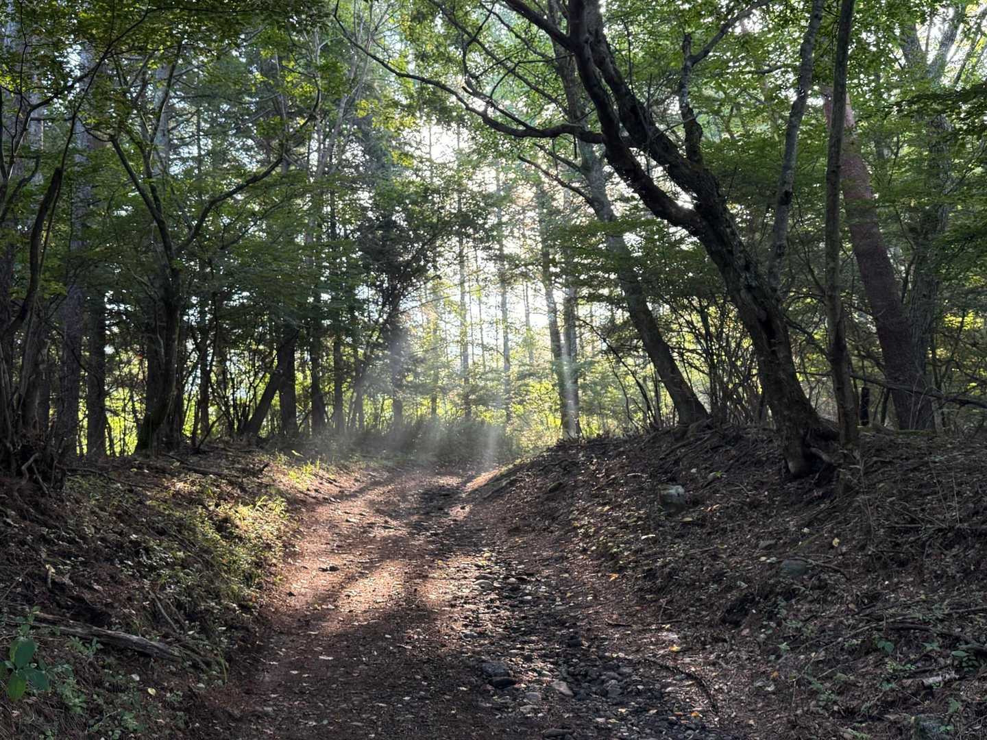 高座山に迎えられているような、光芒🌞
スポットライトみたい😁