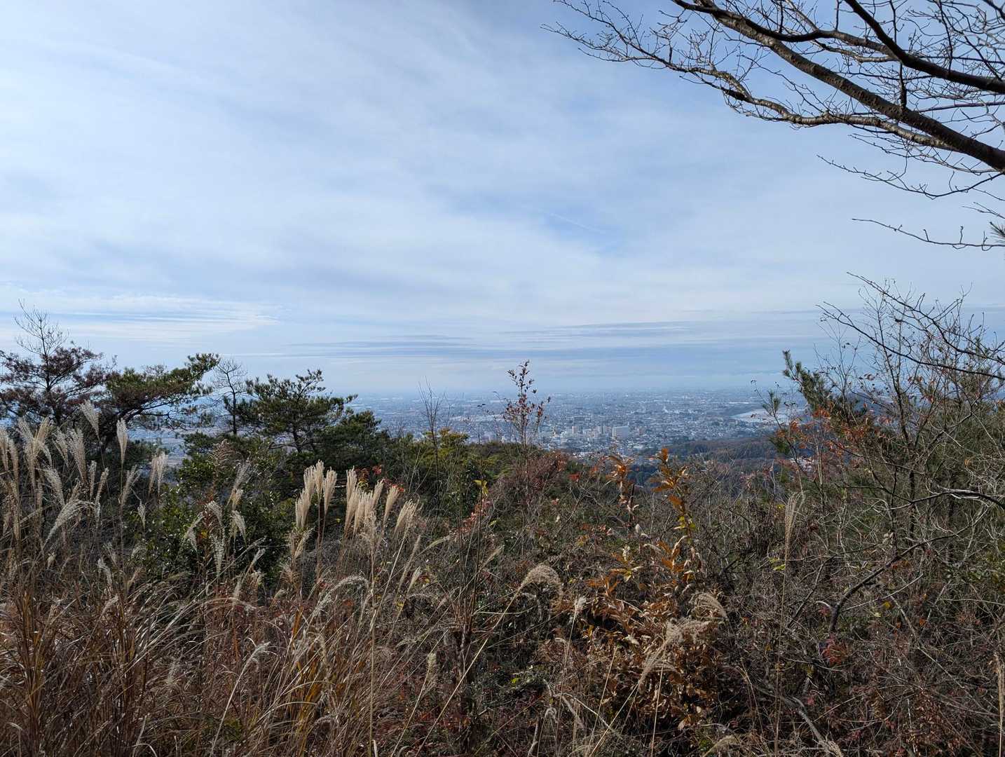 寂光院-継鹿尾山 往復コースの写真