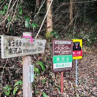 登山口についたらあとはビクトリーロードです😇by餡子先生
