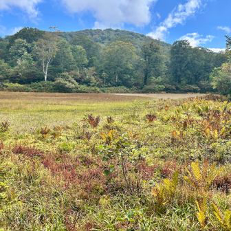 いいね〜秋だ〜🍂
良いお山でした♪