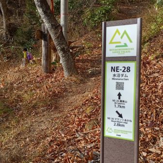 無事に戻ってきました。ここから駐車場までもう少しだよ。残ったおやつを二人でモグモグしながら駐車場へ戻りました。