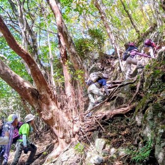 フカタワの鞍部から古後山への激急登