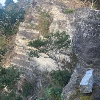 白い壁のテラス✨　
小倉ルートも痩せ尾根やアップダウン　崖も多く　相変わらずタフな登山道で良いですね😊