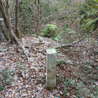 眺望は全くありません