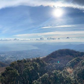 別府湾が綺麗でした🤩