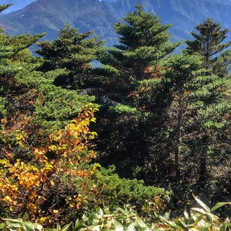 筒上山方面