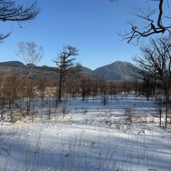 戦場ヶ原の見晴らし
良い天気