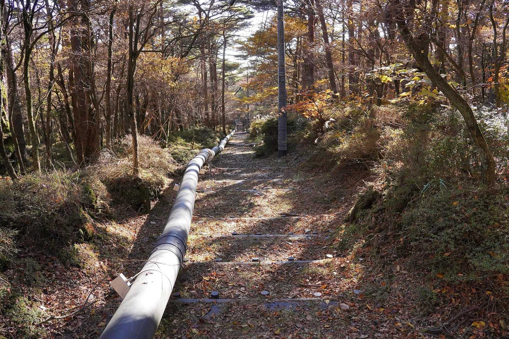 不動池付近(どこが分岐だったのかも謎)から
ここまでの道がとても不明瞭でした
注意喚起の書き込みして下さってる方々に
感謝感謝です🙇‍♀️✨