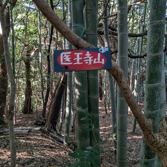 医王寺山