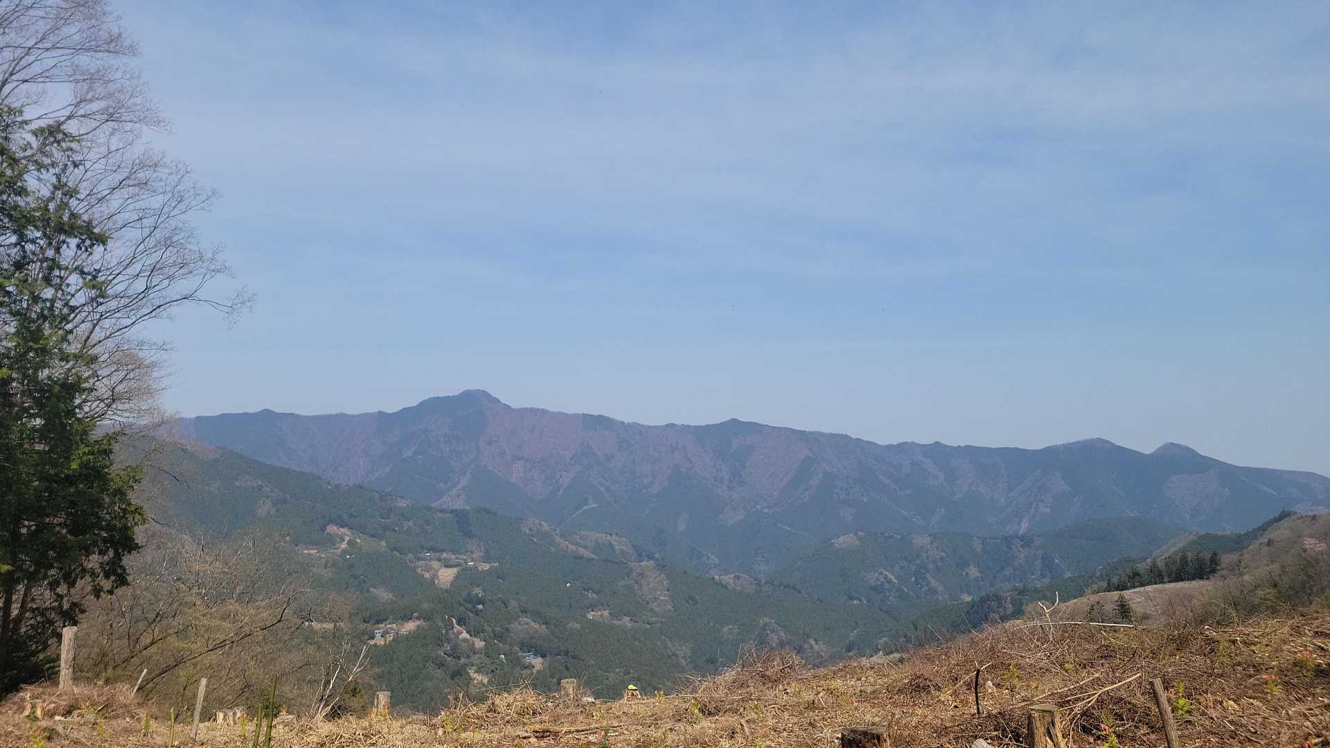 浅間嶺に向けて歩き出してすぐ、左が開けた伐採地になります。