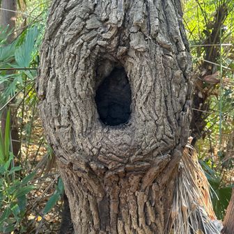 この辺りの標高が1番高い☝️