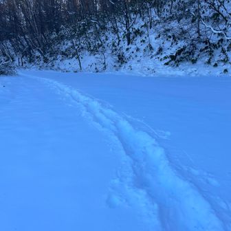 15センチほどの積雪、トレースあり👍