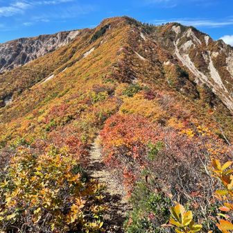 気持ち良いにも程が有る！！
崖に紅葉を見たくて降りてみたが、、高齢者の勘は冴えていた！予想以上、、降りて良かった〜！