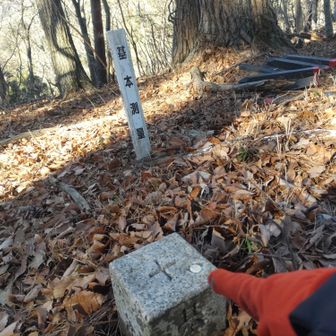 背戸山🎶
此処までなら、安心して来れますよ🤗