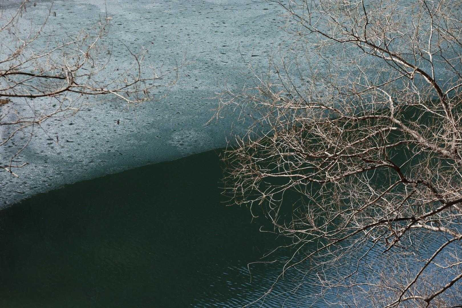 鉢伏山 周回コースの写真