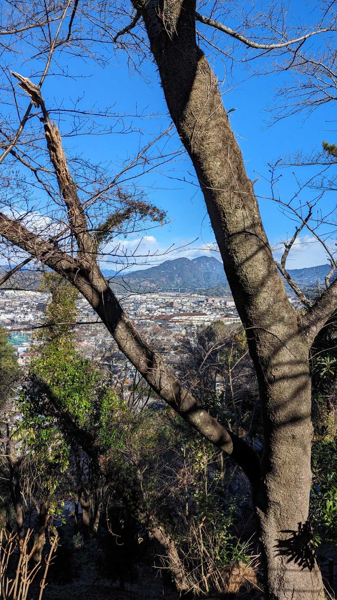 途中でみえた。気持ちえぇ〜
