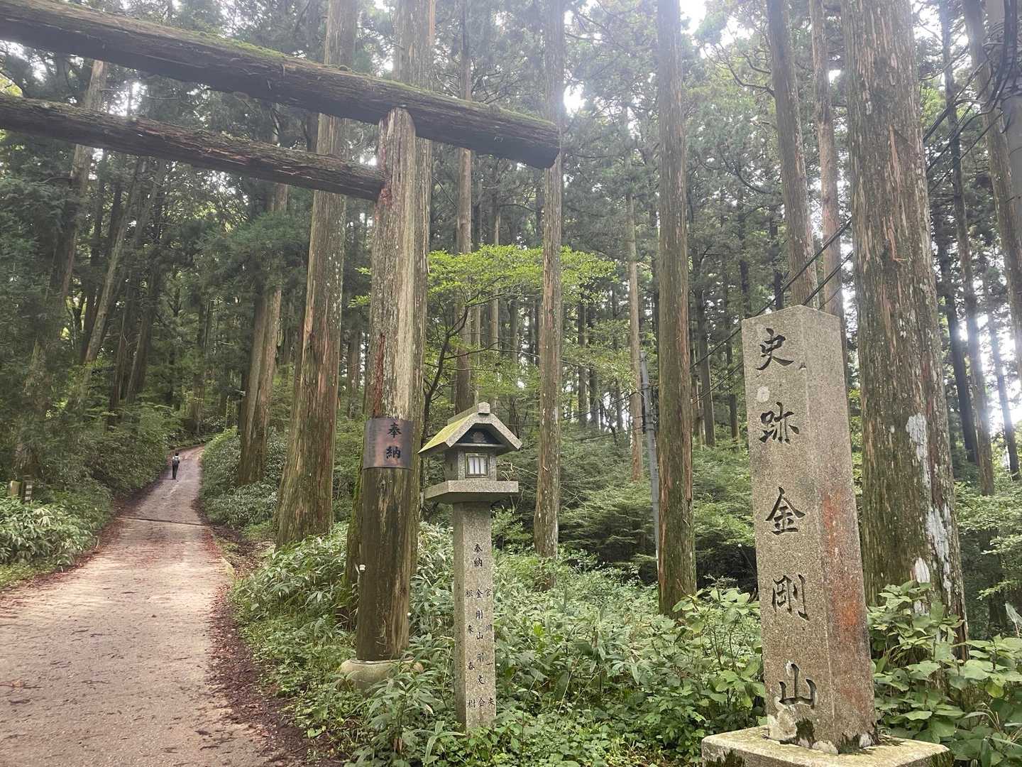 天ヶ滝新道登山口-伏見峠-金剛山葛木神社-金剛山 往復コースの写真