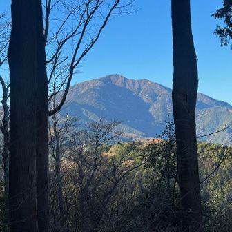 大山の山頂付近には

雲ひとつありません

改めて

右の稜線から登って左手前の稜線を下ってきた...

と、自己満足タイム