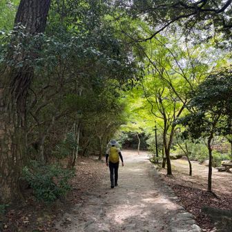 紅葉谷登山口に到着
宮島登山は昨年11月ぶり12回目