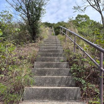 運動部のトレーニングか！？