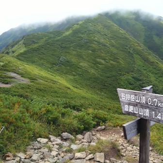 分岐まで戻ってきました