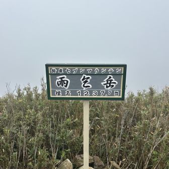 笹っぱかき分けて雨乞岳到着🎉
やっぱ何も見えず😕
雨は、通り雨だったらしい…
ただでも足元滑るので、セーフでした。
