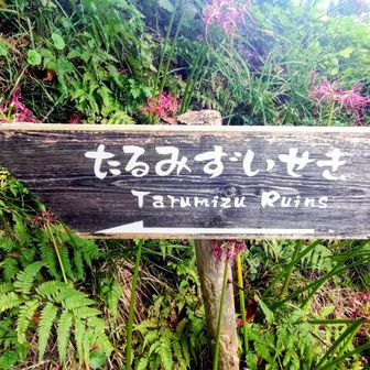 曼珠沙華が咲く場所みたいです
