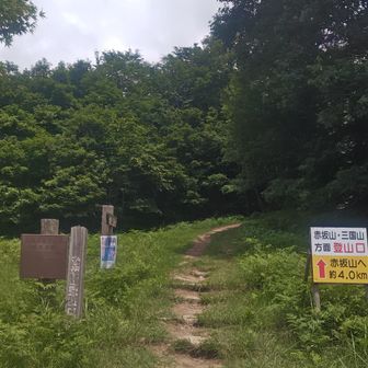 しばらく歩いて登山口に。