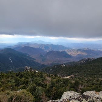 危ういなと思ってたら…