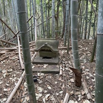 ここが山頂か。