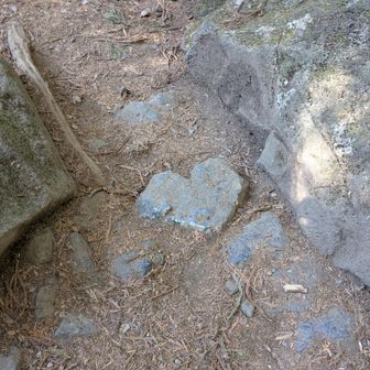 ハートの石見つけた♡