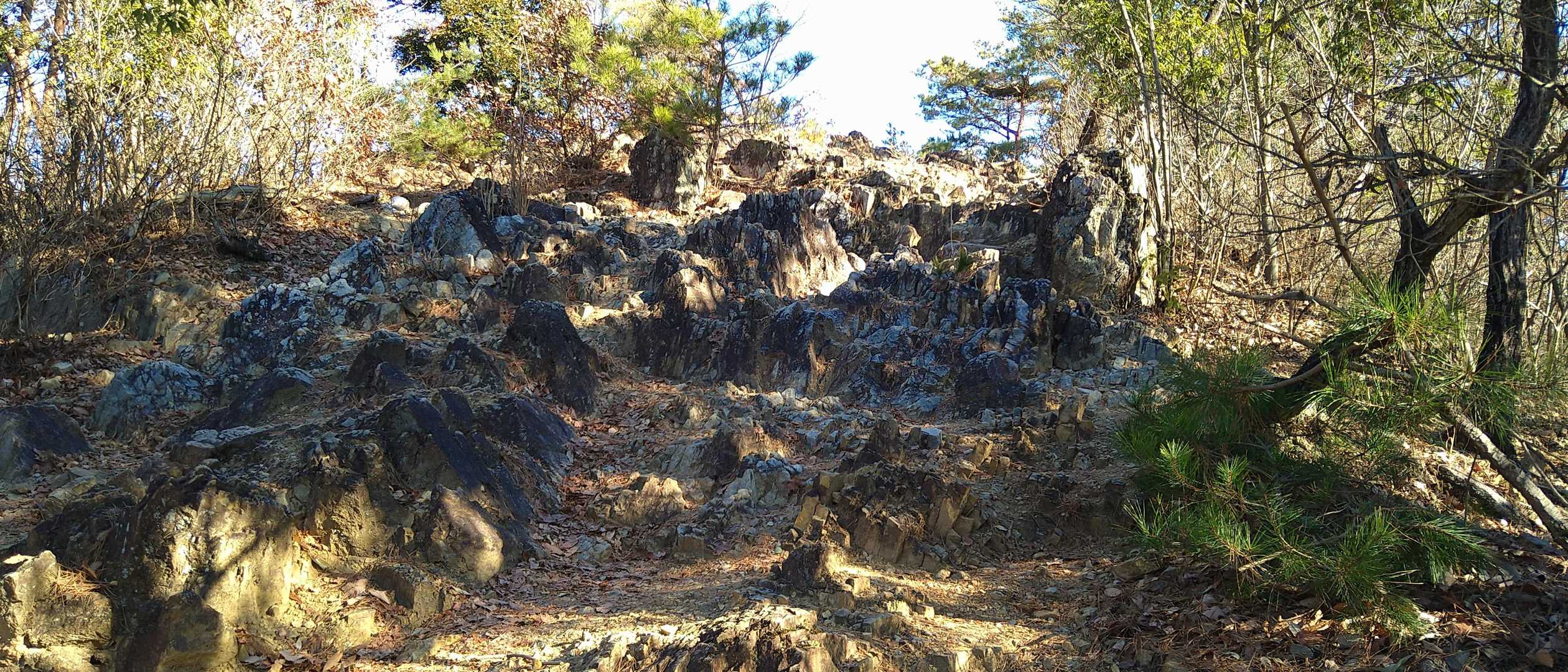 鞍部を過ぎると今度は赤石山への登り。ちょっとした岩登りが楽しめる。