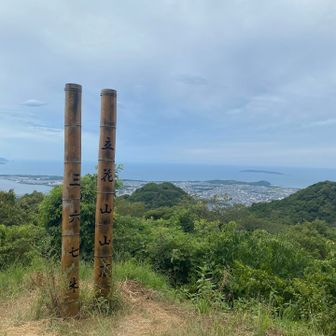 日陰にいると涼しい