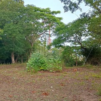それでは至山山頂から石金山に向かいます🦿🦵👣