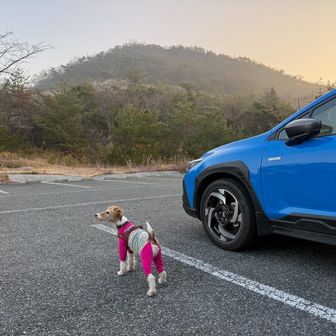 🚙ここまで1時間30分　🅿️三草山 山口登山口 駐車場は9番　気温-1℃（出発時は7℃）　寒くなった　