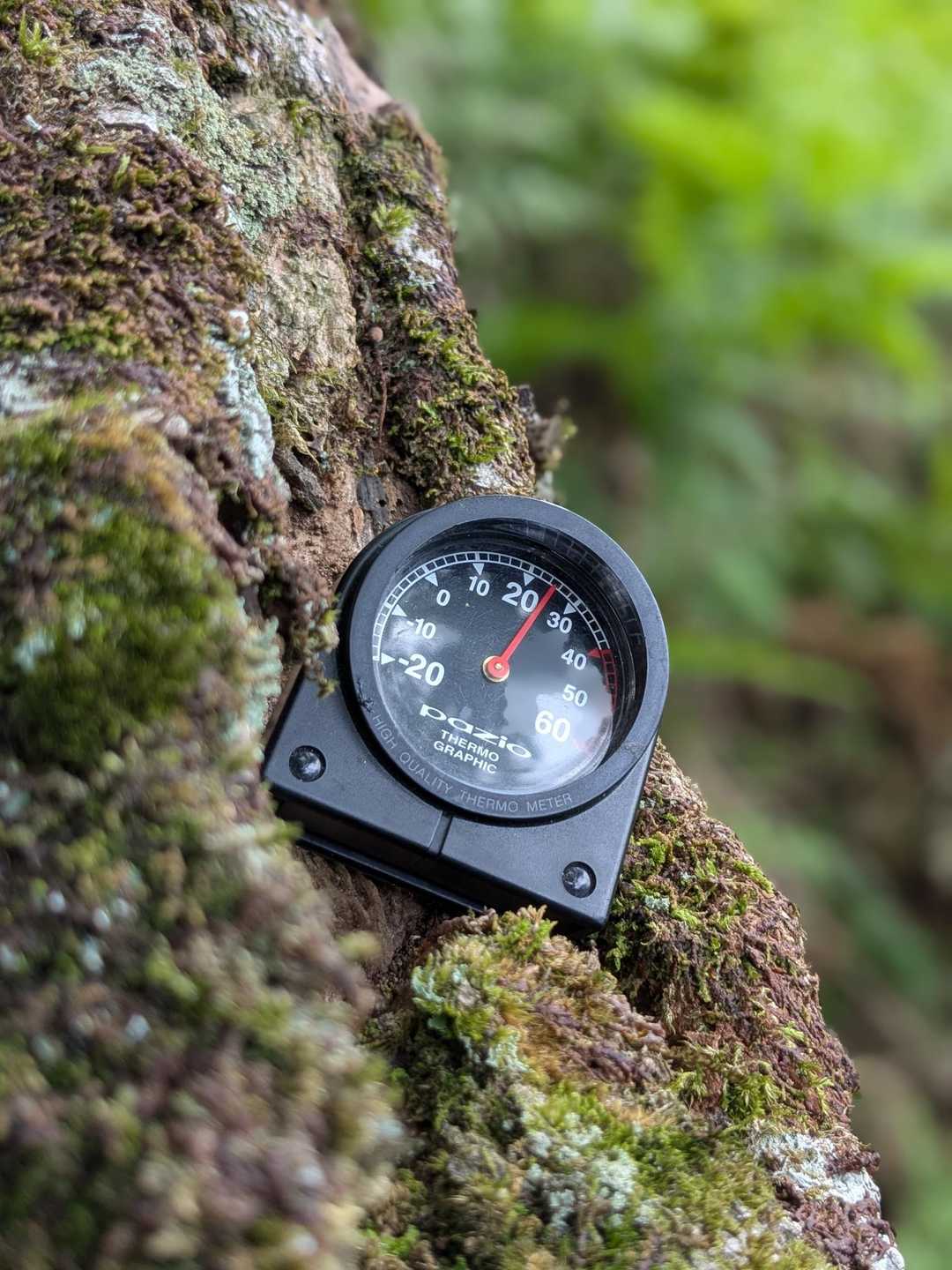 冷ゃっ！とするので温度計見たら
　　なんと25℃😊涼しい