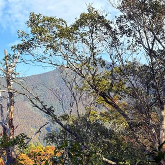 矢筈山⛰️も✨