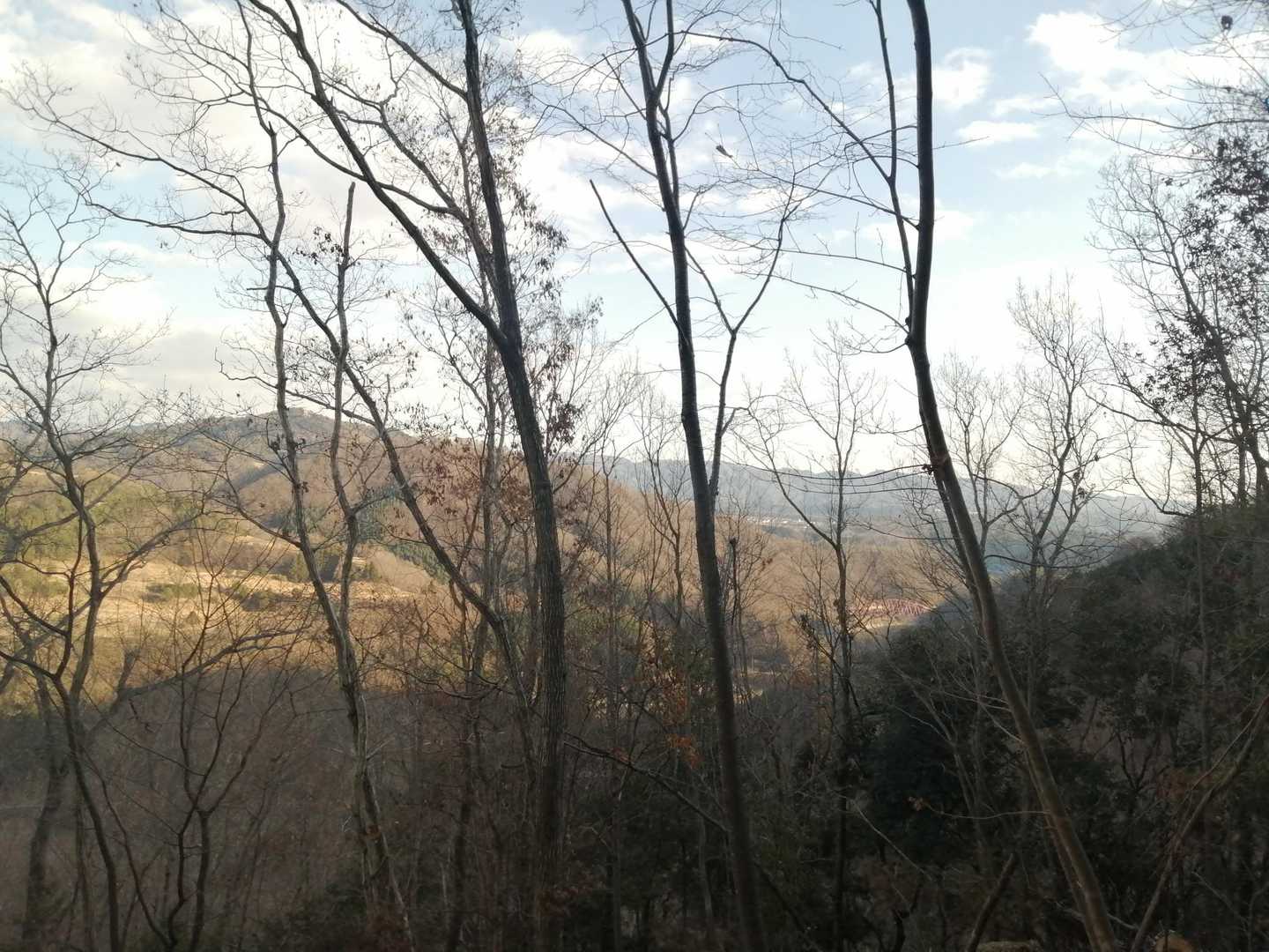 遠くにさっき登った知明山とさくら橋🌉