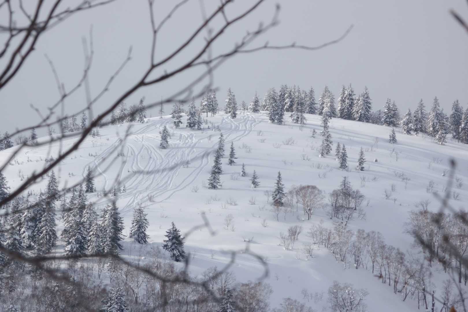 丸山