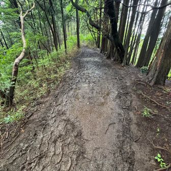 グジュグジュ箇所、10箇所以上ありました
