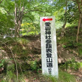 表登山道へ🚶🎂