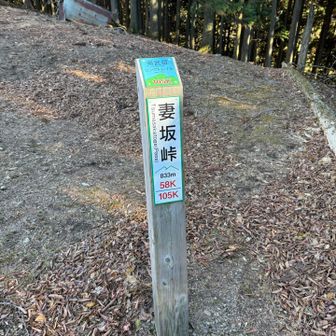 ココから一気に一の鳥居に下ります。