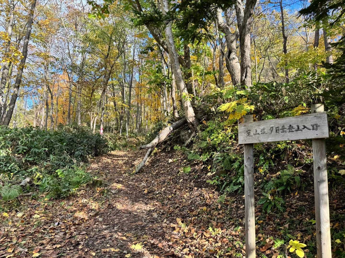 境内の横の方に登山口