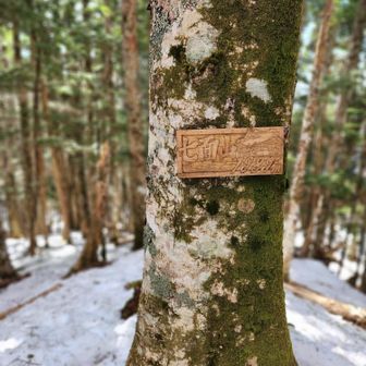 七面山　最高点