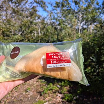 お昼は昨日朝セブンイレブンで買ったパン🥖

気にしないで食べたけど期限切れてるね😨
まぁ最近、数日位なら全く気にしなくなったけど😉

さて、下山します。