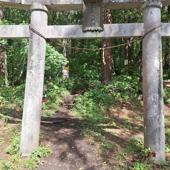 よろしくお願いいたします。